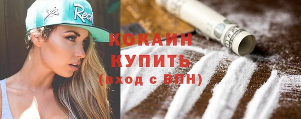 индика Богородицк