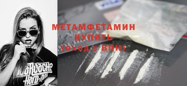 индика Богородицк