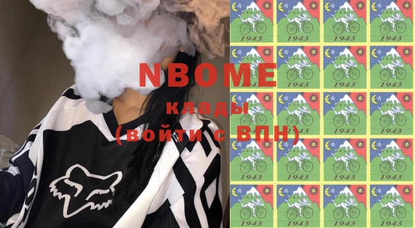 индика Богородицк