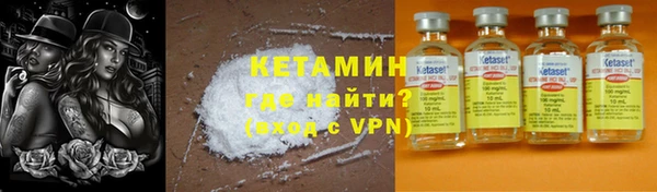 индика Богородицк