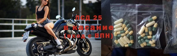 PSILOCYBIN Богородск