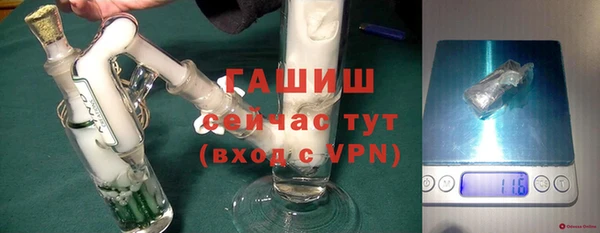 индика Богородицк