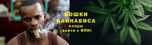 PSILOCYBIN Богородск