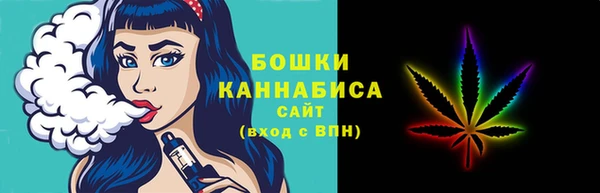 индика Богородицк