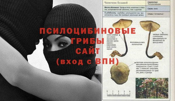 индика Богородицк