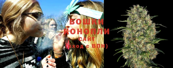 PSILOCYBIN Богородск