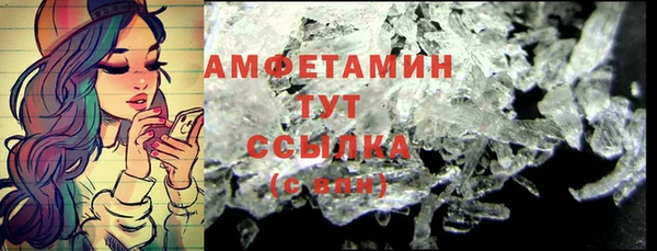 индика Богородицк