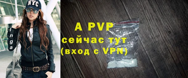 PSILOCYBIN Богородск