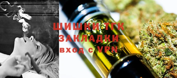 индика Богородицк