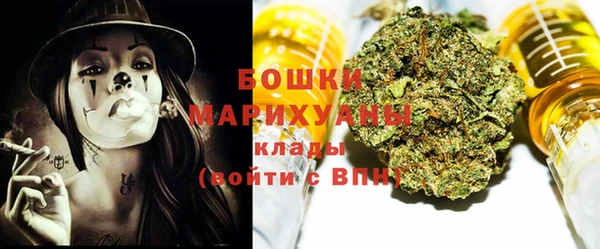 индика Богородицк