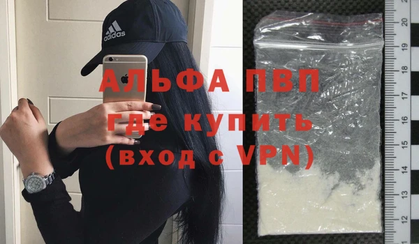 индика Богородицк