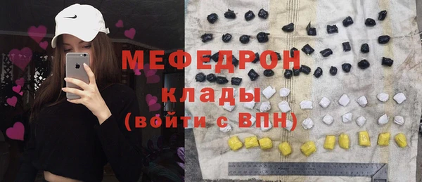 индика Богородицк