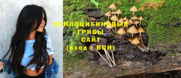 MESCALINE Богданович
