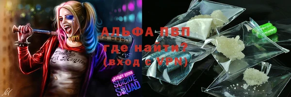 PSILOCYBIN Богородск